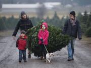 The Olson family, from left, Abraham, 4, David, Agatha, 8, with Captain, and Jodi, ventured from Portland to Thornton's Treeland in Vancouver for the family Christmas tree on Sunday.