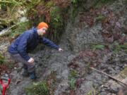 Sean LaHusen points to buried debris at an older slide site on the north fork of the Stillaguamish River
(ALISON DUVALL/University of Washington)