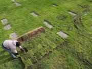 Grounds crew worker Ubaldo Gonzalez finishes a burial Jan.