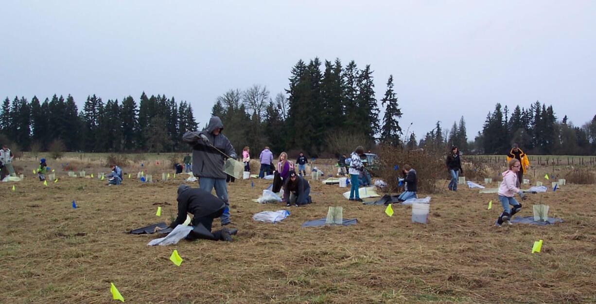 Brush Prairie: Volunteers plant trees at Hockinson Meadows Community Park.