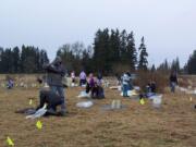 Brush Prairie: Volunteers plant trees at Hockinson Meadows Community Park.