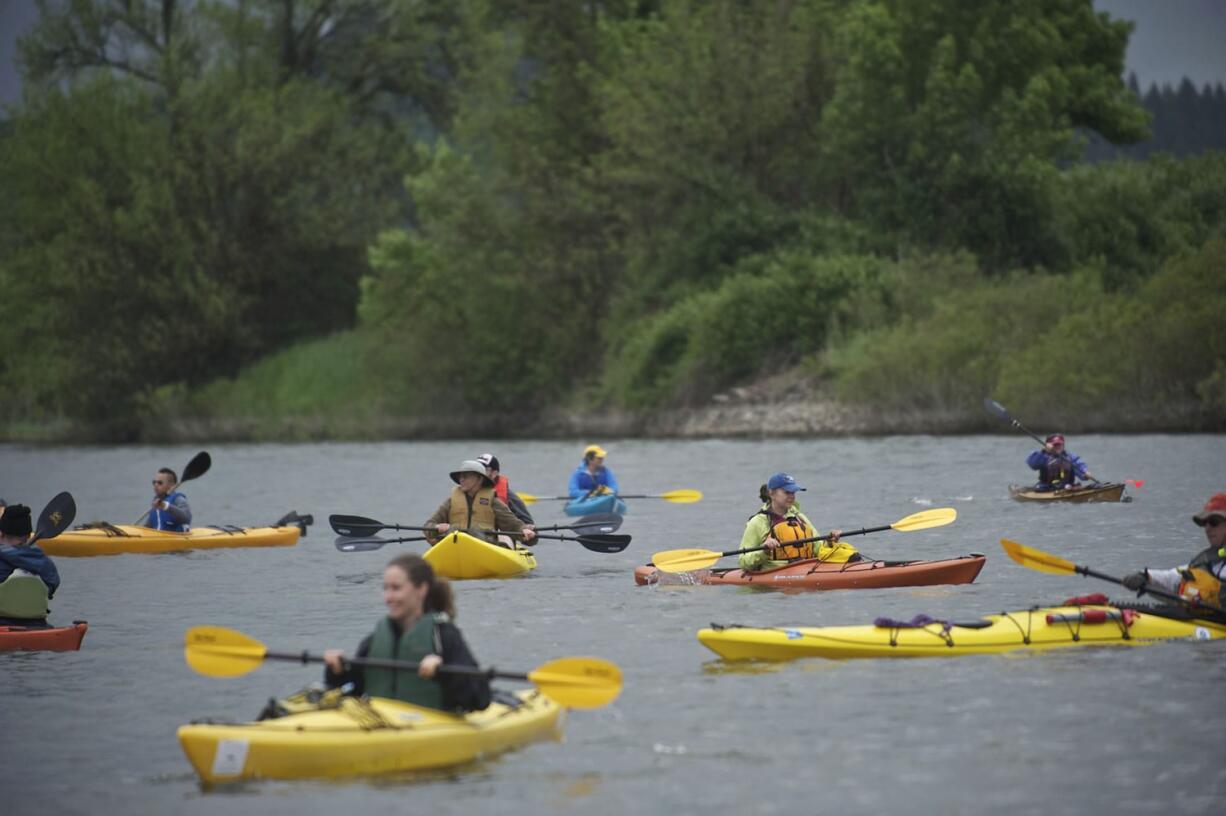 Boaters paddle in canoes provided by the Lower Columbia River Estuary Partnership during the Big Paddle event on Saturday.