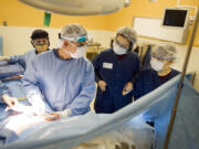 Dr. Allen Gabriel, left, explains his surgical decisions to Japanese surgeons Hiroko Taneda, right, and Mika Watanabe, center, during a panniculectomy at PeaceHealth Southwest Medical Center Wednesday.