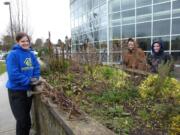 Bagley Downs: Julie Pachico, Lindsey Thompson and Melissa Princehouse remove weeds from a bed at the Jim Parsley Community Center.