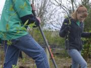 Caption: Comcast supervisor Tom Mayberry, left, and guest volunteer Jewel Mayberry help plant native trees and shrubs at the Burnt Bridge Creek Watershed during the &quot;Comcast Cares&quot; volunteer event April 21.