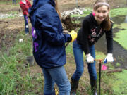 Pleasant Valley: Rylie Krout, left, and Heidi Nordahl, sixth-graders at Pleasant Valley Middle School, plant native plants to restore fish habitat at Pleasant Valley Community Park in March.