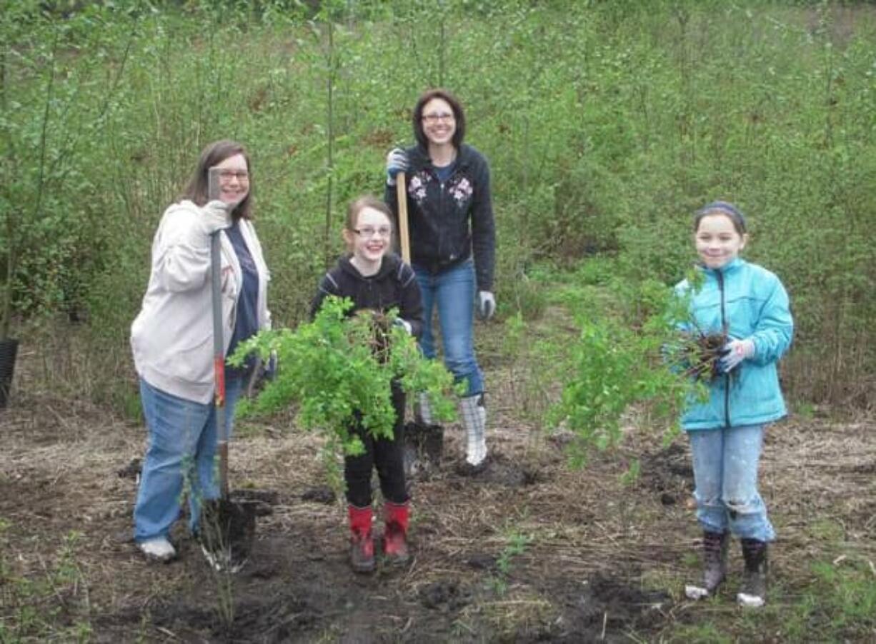 Meadow Homes: Members of Girl Scout Troop 40076, from left, Michelle Worthington, Abigail Wilson, Christine Wilson and Kaylee Worthington, plant native trees along the Burnt Bridge Creek Trail during SOLV's Earth Day on the Greenway.