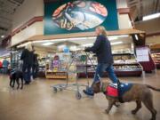 Shannon Walker, left, and Ora Evans, right, walk Oso and Diamond, respectively, through the Battle Ground Fred Meyer on Wednesday as part of their therapy dog training.