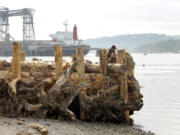 The Lower Columbia Fish Enhancement Group has built dozens of logjams to shelter fish and restore habitat on Southwest Washington waterways.