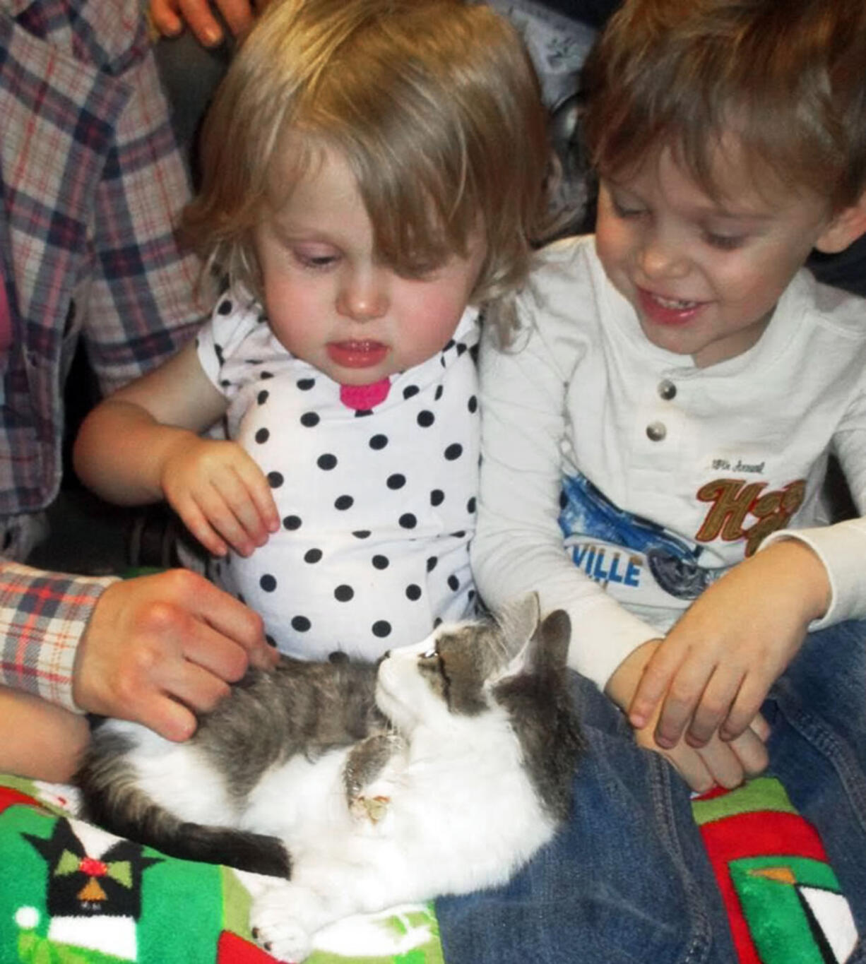 Scarlette Tipton, center, a 2-year-old cancer survivor with an amputated arm, poses with a kitten who also suffered an amputation, at the agency&#039;s shelter in San Jacinto, Calif., on Dec. 3. The Orange County family had been searching for a kitten to help their daughter, who was born with a rare form of cancer that led to having her left arm amputated when she was 10 months old. Doctors say Scarlette is now cancer free. The kitten, named Holly, suffered a severe injury and had her left foreleg amputated in December.