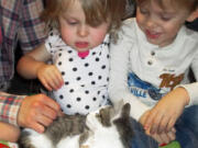 Scarlette Tipton, center, a 2-year-old cancer survivor with an amputated arm, poses with a kitten who also suffered an amputation, at the agency&#039;s shelter in San Jacinto, Calif., on Dec. 3. The Orange County family had been searching for a kitten to help their daughter, who was born with a rare form of cancer that led to having her left arm amputated when she was 10 months old. Doctors say Scarlette is now cancer free. The kitten, named Holly, suffered a severe injury and had her left foreleg amputated in December.