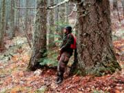 Deer hunters in the Cascade Mountain game units have poorer success rates than in other parts of Southwest Washington.