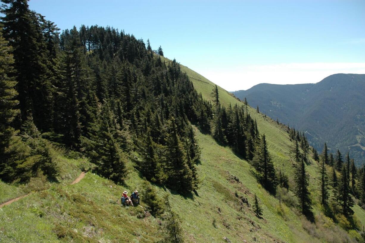 A pair of hikers break for lunch near the summit of Dog Mountain in tyhe Columbia River Gorge National Scenic Area.