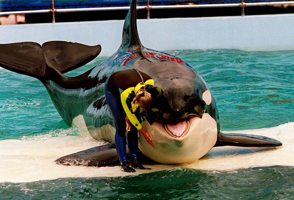 Files/The Miami Herald
Trainer Marcia Hinton performs with Lolita in 1995 at the Miami Seaquarium in Miami.