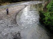 A lone fisherman tries his luck in the shallow waters of Grays River at the Grays River Hatchery.