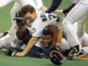 In this Oct. 8, 1995, file photo, Seattle Mariners&#039; Ken Griffey Jr. smiles from beneath a pile of teammates who mobbed him after he scored the winning run in the bottom of the 11th inning of a baseball game against the New York Yankees in Seattle. Griffey Jr. was elected to the Baseball Hall of Fame on Wednesday.