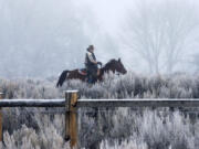 Cowboy Dwane Ehmer, of Irrigon Ore., a supporter of the group occupying the Malheur National Wildlife Refuge, rides his horse Thursday, Jan. 7, 2016, near Burns, Ore. The leader of an American Indian tribe that regards the Oregon nature preserve as sacred issued a rebuke Wednesday to the armed men who are occupying the property, saying they are not welcome at the snowy bird sanctuary and must leave.