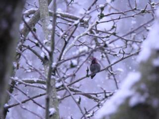 January reader photos: Winter weather photo gallery