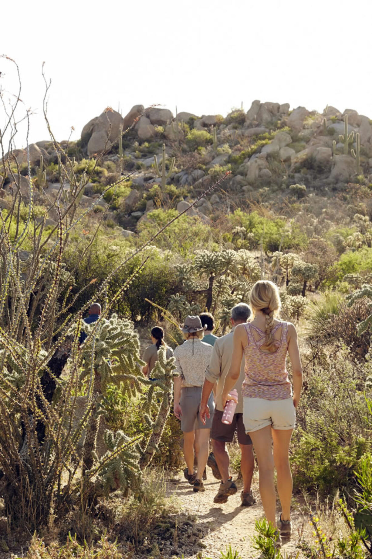 This undated photo provided by Miraval Resort &amp; Spa shows guests on a guided hike organized by the spa, which is located north of Tucson, Ariz. Miraval and many other spas are hosting  corporate groups, meetings and organizations for team-building, wellness and other activities and services.