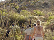 This undated photo provided by Miraval Resort &amp; Spa shows guests on a guided hike organized by the spa, which is located north of Tucson, Ariz. Miraval and many other spas are hosting  corporate groups, meetings and organizations for team-building, wellness and other activities and services.