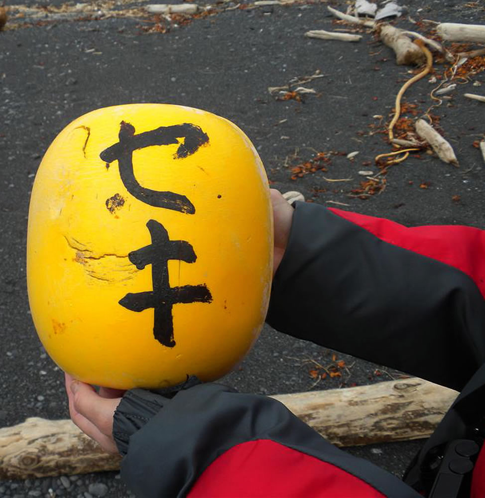 This May 28, 2012 photo provided by Chris Pallister shows a Japanese float is collected on the shore of Montague Island near Seward, Alaska. More than a year after a tsunami devastated Japan, killing thousands of people and washing millions of tons of debris into the Pacific Ocean, neither the U.S. government nor some West Coast states have a clear plan for how to clean up the rubble that floats to American shores.