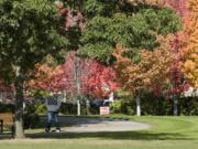 A pedestrian walks through Marine Park, near the Columbia River waterfront.