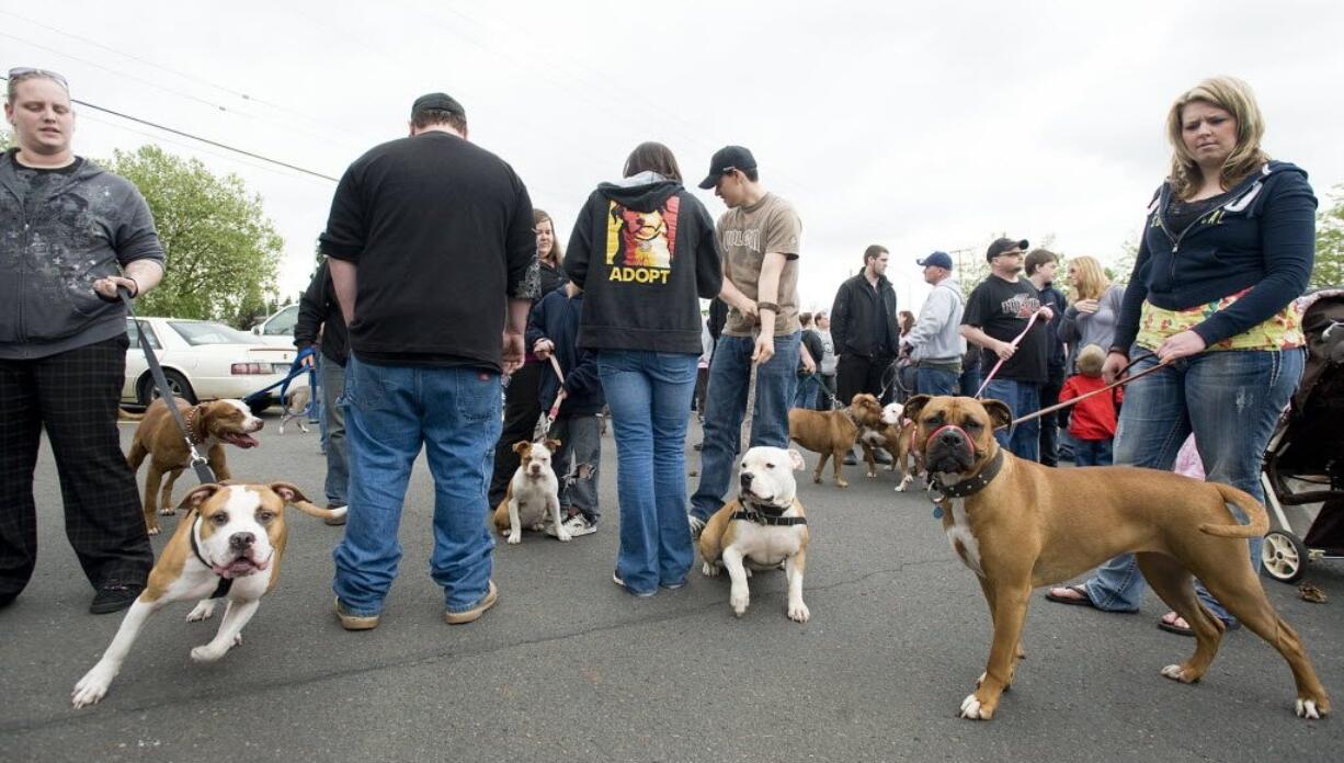 After nixing a proposed ban on pit bulls earlier this year, the Vancouver City Council on Monday seemed to favor adopting Clark County's dog control ordinance. Vancouver's Chief Assistant City Attorney, Judy Zeider, now must write an ordinance that could have its first reading as soon as Nov. 14.