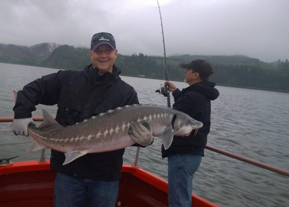 Washington's Fish and Wildlife Commission has directed the Department of Fish and Wildlife to discuss with Oregon eliminating catch-and-release sturgeon angling in the lower Columbia River.