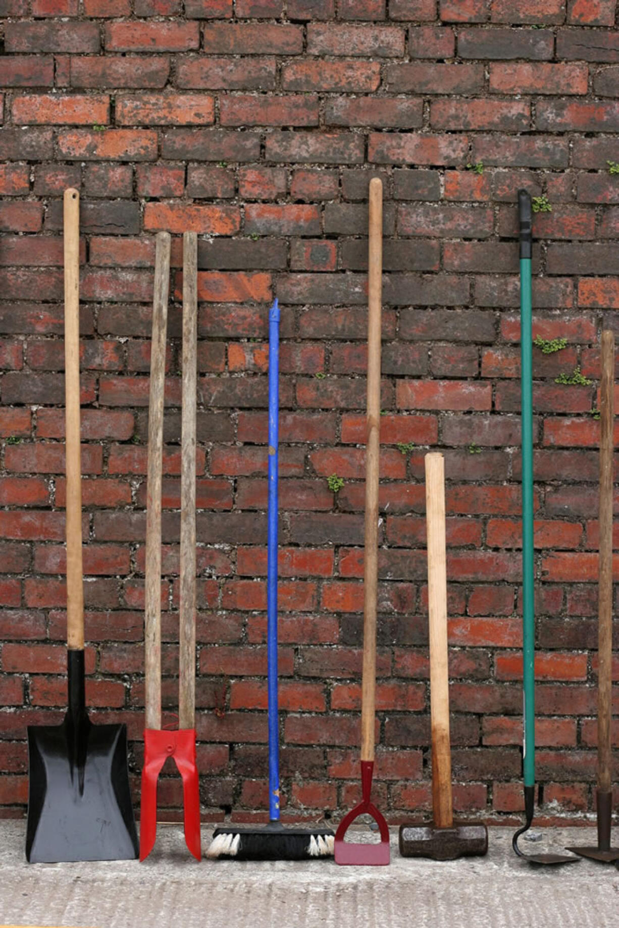 Having an assortment of garden tools helps ensure the right one for any particular job is always on hand.