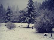 Alina Ferguson of La Center snapped this photo of snow Tuesday morning.