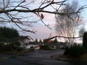 This leaf appeared to be one of the last ones in the Salmon Creek neighborhood on Wednesday morning.