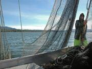 Washington and Oregon hope to transition commercial fishing in the lower Columbia River to purse seines and beach seines. A purse seine being tested in Wahkiakum County is shown here.