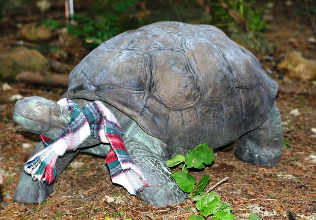 A large tortoise adds a note of winter interest along the driveway leading to the house and garden.