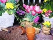 Spring home and garden events are the perfect venue for plant shopping and planting ideas.