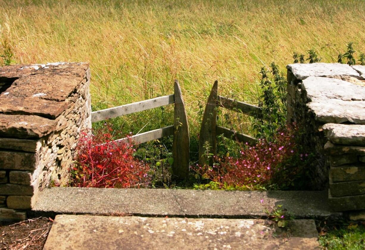 Gardening is about looking forward to the results of working in the garden.