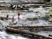 The Lower Columbia Fish Enhancement Group has anchored nearly 160 logs along the Upper Washougal River this year in an effort to restore natural fish habitat.