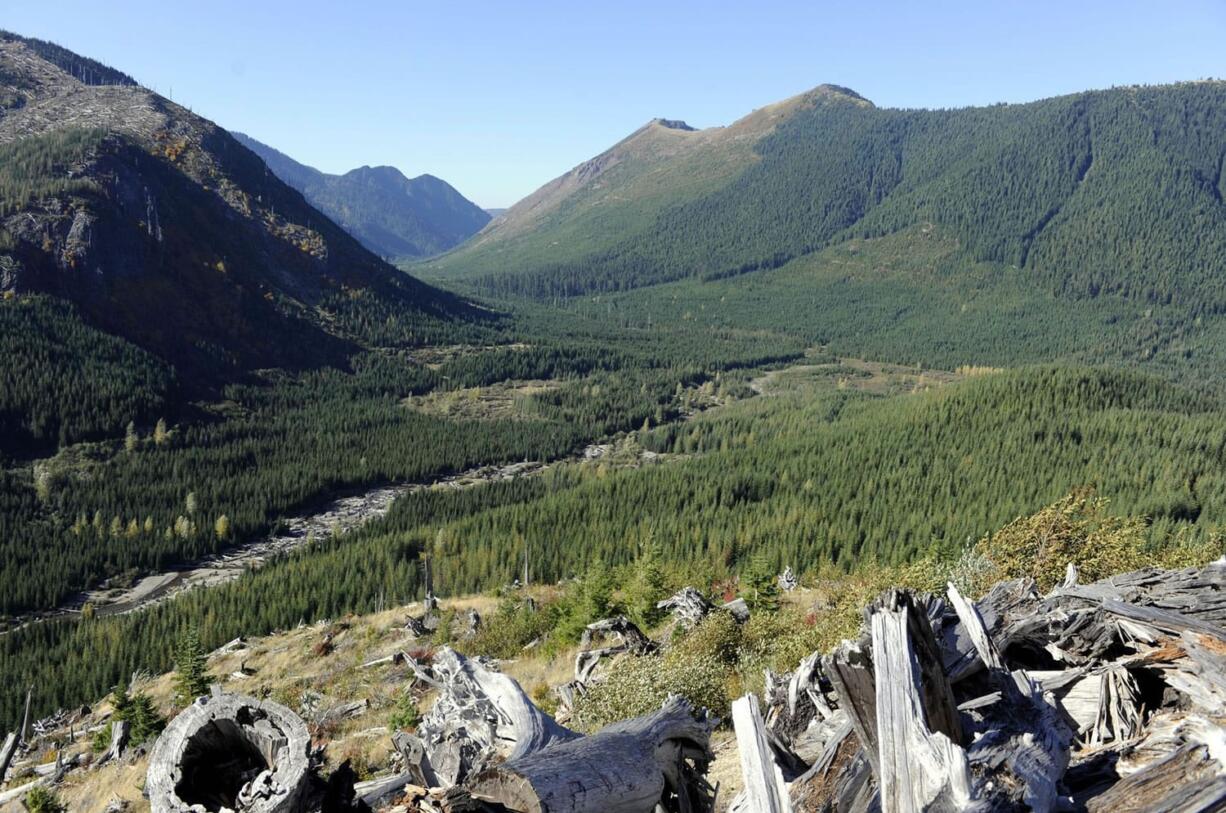 The Green River flows through a broad valley northwest of Mount St. Helens, a popular backcountry area just 12 miles from the volcano.