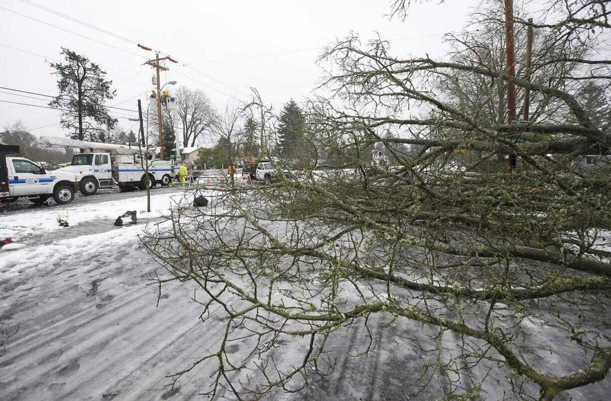 Clark Public Utilities crews work to repair power after a tree fell, taking down lines and blocking the southbound lanes of Andresen Road south of Mill Plain.