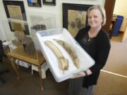 Lee Knottenerus, administrative service director for the city of Ridgefield, holds one of three containers containing the remains of a 20,000-year-old mammoth tusk discovered locally in 2010.