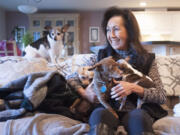 At home in Camas, animal lover Caroline Reiswig gathers together her rescue dogs, the smallest of which is a 4.5-pound Chihuahua named &quot;Tiny.&quot; (Photos by Natalie Behring/ The Columbian)