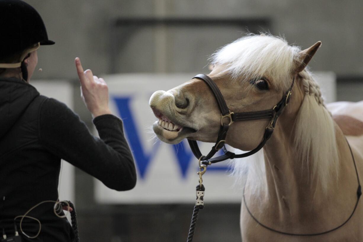 Chesna Klimek does a bridleless demonstration with Pippin on Saturday afternoon at the annual Washington State Horse Expo at the Clark County Event Center at the Fairgrounds.