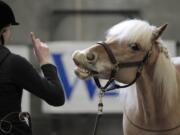 Chesna Klimek does a bridleless demonstration with Pippin on Saturday afternoon at the annual Washington State Horse Expo at the Clark County Event Center at the Fairgrounds.