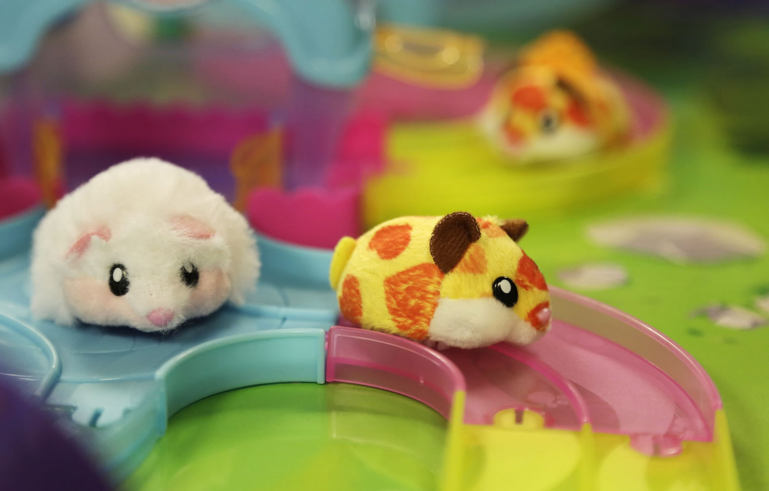 Hamsters in shop a house target