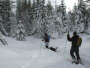 Cross-country skiers will find about 4 feet of snow on the trails at the headwaters of the Wind River.