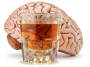 Researchers at Oregon Health &amp; Science University seek to understand how alcohol&#039;s impacts on the brain can determine who is at risk for alcohol addiction.