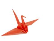 Bird in origami