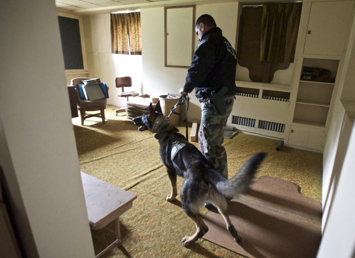 Clark County Sheriff's Deputy Sean Boyle and his K-9 partner, Jango, look for drugs hidden inside an abandon building during a training session near Evergreen High School in 2013.