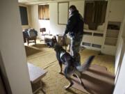 Clark County Sheriff's Deputy Sean Boyle and his K-9 partner, Jango, look for drugs hidden inside an abandon building during a training session near Evergreen High School in 2013.