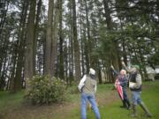 Skip Paynter, from left, Joan McConnell and Steve Wille, residents in the Countryside Woods neighborhood, look at a woodpecker hole in a tree March 8 at Countryside Park in Vancouver. The neighborhood association obtained a grant in November from the Vancouver Watersheds Alliance to purchase native plants for the park.