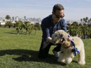 Russell Gipson Shearer puts the Whistle pet tracker, a GPS-enabled device, on his dog Rocket at Dolores Park in San Francisco. Technology isn&#039;t just for humans. It&#039;s also for their furry friends.